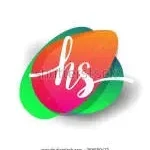H.S PVT LTD company icon
