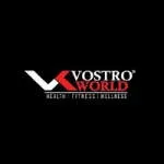 Vostro World company icon