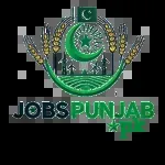iVisionWeb job location Lahore Punjab society,… company icon