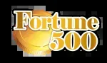 Fortune tech company icon